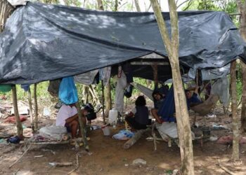 Ascatidar rechazó el asesinato de un indígena en Tame y exigió a las autoridades esclarecer el hecho