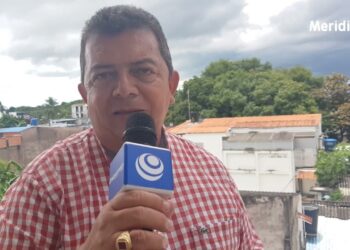 Ganaderos del Piedemonte le deben apuntar a la ganadería sostenible