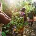 El importantísimo papel de la mujer indígena que ha venido escalando en la sociedad colombiana