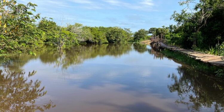 Comunidad de Cabuyare clama por un puente ‘decente’
