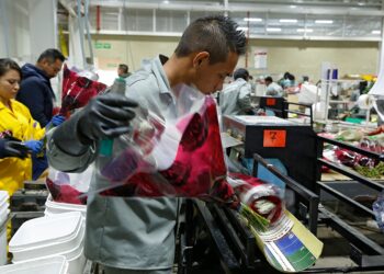 Esto debe saber todo migrante venezolano para acceder a un trabajo en Colombia
