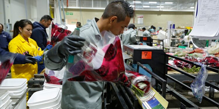 Esto debe saber todo migrante venezolano para acceder a un trabajo en Colombia