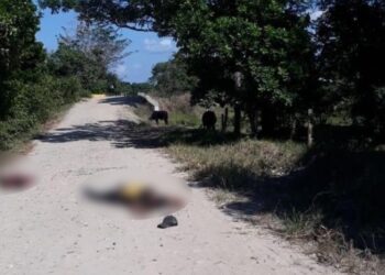 Violencia sin límites: Ola de homicidios y secuestros siguen en aumento en el departamento de Arauca