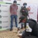 Ejército y Policía incautaron 100 kilos de marihuana en el municipio de Tame