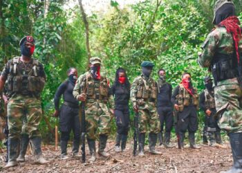 Presidente Petro anunció que el proceso de paz con el ELN ya inició