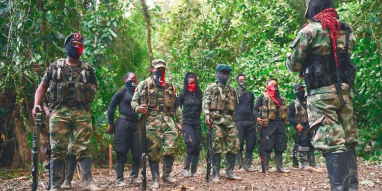 Presidente Petro anunció que el proceso de paz con el ELN ya inició