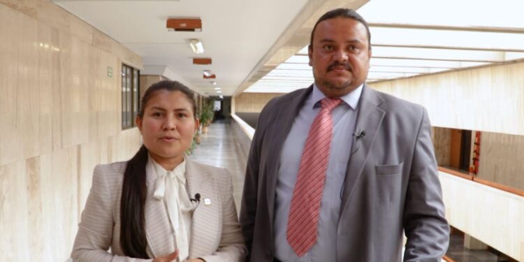 Solicitan veeduría internacional para «la estabilidad social y económica de los araucanos»