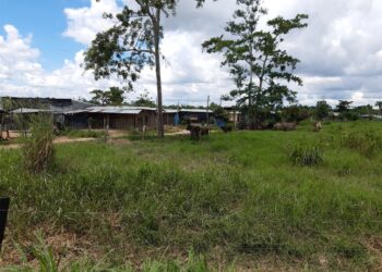 Fue asesinado un hombre de aspecto joven en zona rural de Arauquita
