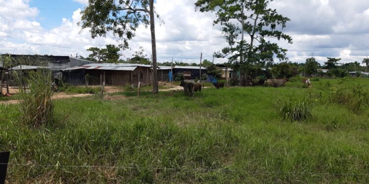 Fue asesinado un hombre de aspecto joven en zona rural de Arauquita