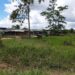 Fue asesinado un hombre de aspecto joven en zona rural de Arauquita