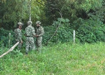 Ejército destruyó artefactos explosivos que habían sido instalados en zona rural de Arauquita