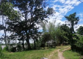 Saravena: Joven que había sido reportado como secuestrado fue encontrado muerto en zona rural