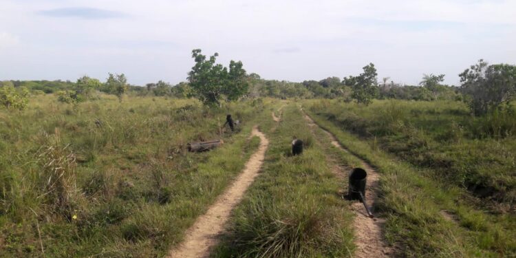 Ejército desactivó cinco áreas minadas con más de 37 artefactos explosivos en Arauca
