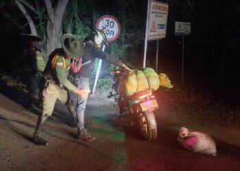 Autoridades incautaron más de 80 kilos de carne de contrabando