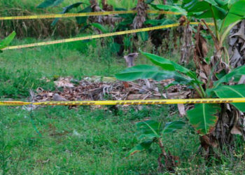 Enero rojo en el departamento de Arauca. Continúan las hostilidades y enfrentamientos entre las guerrillas del ELN y las FARC