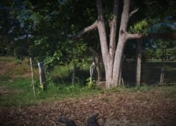 Saravena: Hombre fue hallado muerto con varias heridas con arma de fuego