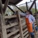Arrancó la vacunación contra fiebre aftosa en zonas de frontera con Venezuela