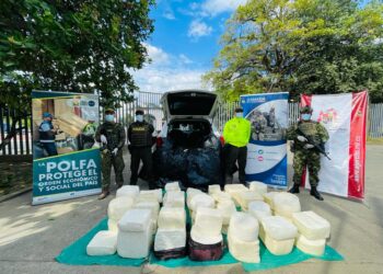 Autoridades incautaron 600 kilogramos de queso no apto para el consumo