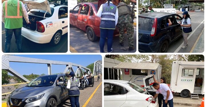 El ICA realiza control sanitario y fitosanitario en el paso fronterizo de Arauca