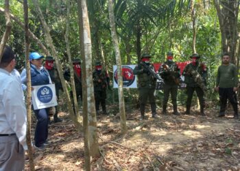 Fue liberado sargento del Ejército que estaba en poder del ELN
