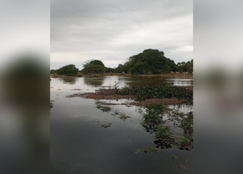 Inundaciones en zona rural de Arauca. Sectores aledaños al río afectados por falta de obras de mitigación