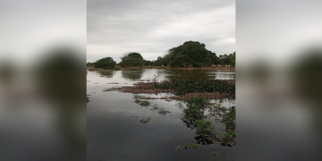 Inundaciones en zona rural de Arauca. Sectores aledaños al río afectados por falta de obras de mitigación