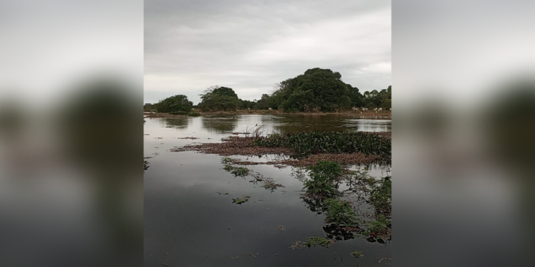 Inundaciones en zona rural de Arauca. Sectores aledaños al río afectados por falta de obras de mitigación