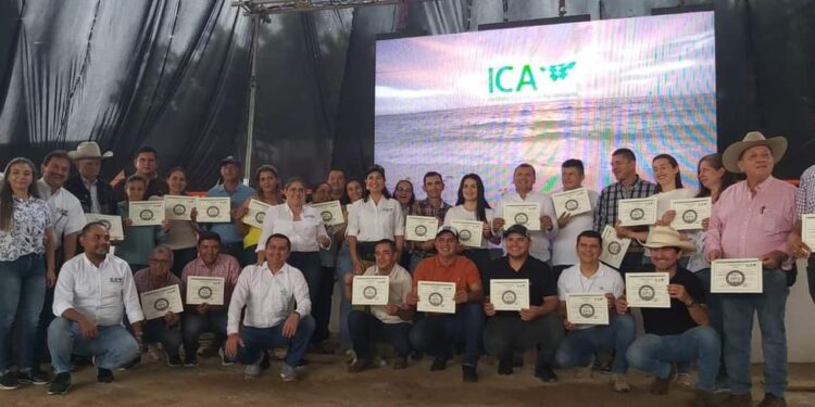 Certificación por Buenas Prácticas Ganaderas (BPG) para Arauca