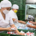 Arauquita: Personal de manipulación de alimentos del PAE a la espera de contratación