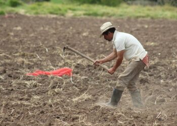 33 mil familias se han beneficiado por formalización de predios
