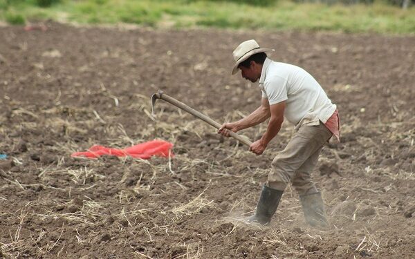 33 mil familias se han beneficiado por formalización de predios