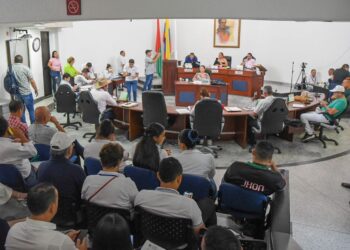 Respuesta positiva a la Adición Presupuestal