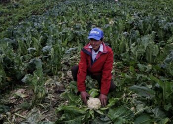 Hoy se inaugura la oficina de la Agencia Nacional de Tierras en Arauca