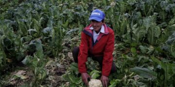 Hoy se inaugura la oficina de la Agencia Nacional de Tierras en Arauca