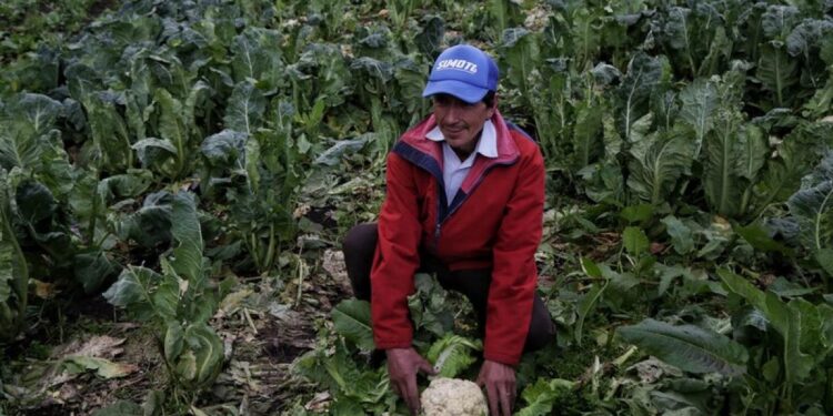 Hoy se inaugura la oficina de la Agencia Nacional de Tierras en Arauca