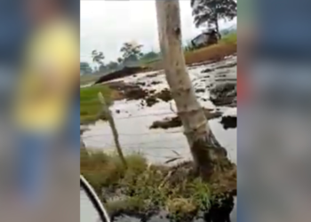 No paran los atentados contra el Oleoducto Caño Limón Coveñas