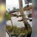 No paran los atentados contra el Oleoducto Caño Limón Coveñas