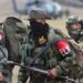 Eln exalta «unidad de mando» y confirma que discutirán cese al fuego