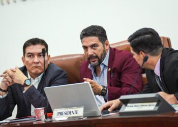Debate de la Reforma a la Salud iniciará el 13 de abril