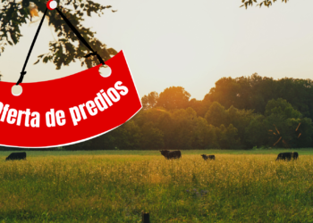Fedegán actualizó cifras: 33 % de la ofertas para vender predios ganaderos al gobierno son de Arauca