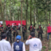 Liberan a menor secuestrado por el ELN en Arauca