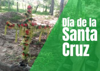 Día de la Santa Cruz: Historia, Tradición y Espiritualidad llanera