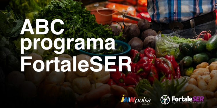FortaleSER, la nueva iniciativa del Gobierno Nacional para las unidades productivas del País. Arauca está en la lista. 