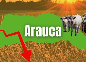 Pésima participación de Arauca en el PIB, tan solo el 0,7%. También somos últimos en esta cifra