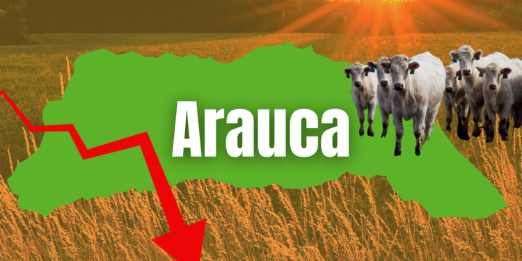 Pésima participación de Arauca en el PIB, tan solo el 0,7%. También somos últimos en esta cifra