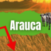 Pésima participación de Arauca en el PIB, tan solo el 0,7%. También somos últimos en esta cifra