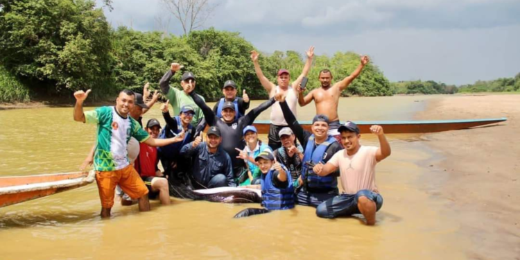 Nuevamente un delfín rosado es rescatado en aguas del río Arauca