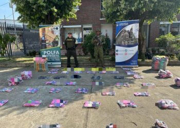 Durante operativo de la POLFA Arauca, fueron aprehendidos 16.733 productos de contrabando