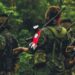 Eln se atribuye atentado terrorista que dejó una mujer y dos policías muertos