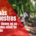 Otro secuestro: Niñas reportadas como desplazadas están en poder de disidencias de las Farc